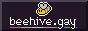 A banner with a small bee labeled beehive.gay