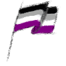 Asexual flag