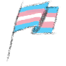 Trans flag